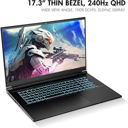 2024 Gaming Laptop, 17.3 Inch QHD 240Hz 100% DCI-P3 G-Sync, Intel i9-13900HX, RTX 4070 8GB, 64GB RAM, 2TB Gen4 NVMe SSD, Win 11