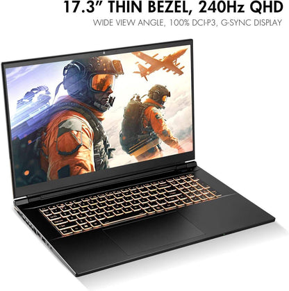 2024 Gaming Laptop, 17.3 Inch QHD 240Hz 100% DCI-P3 G-Sync, Intel i9-13900HX, RTX 4070 8GB, 64GB RAM, 2TB Gen4 NVMe SSD, Win 11