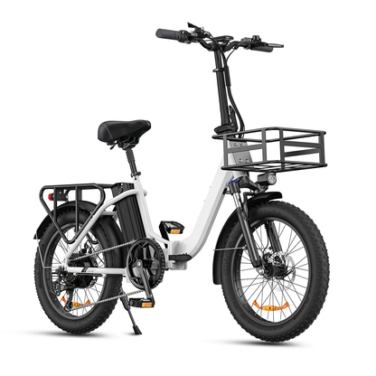 🔥LIMITED TO 16 PIECES ONLY, FIIDO T1 Cargo Electric Bike with 750W Motor 48V 20AH Battery 20*4.0 Inch Fat Tire Ebike Scooter