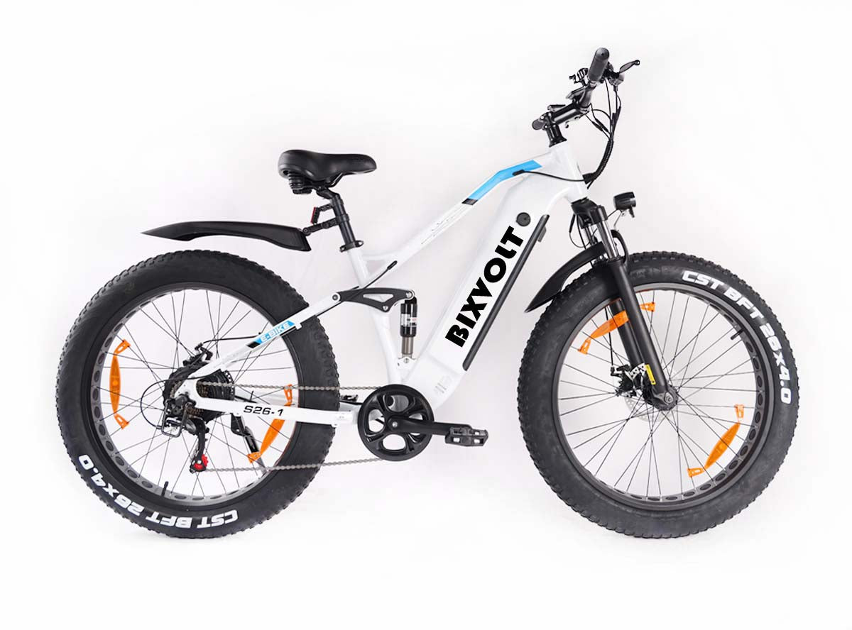 Fat Tire E-Mountainbike Pedelec All Terrain Electric Bike 95 Nm Removable Battery