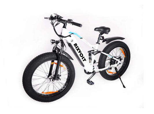 Fat Tire E-Mountainbike Pedelec All Terrain Electric Bike 95 Nm Removable Battery