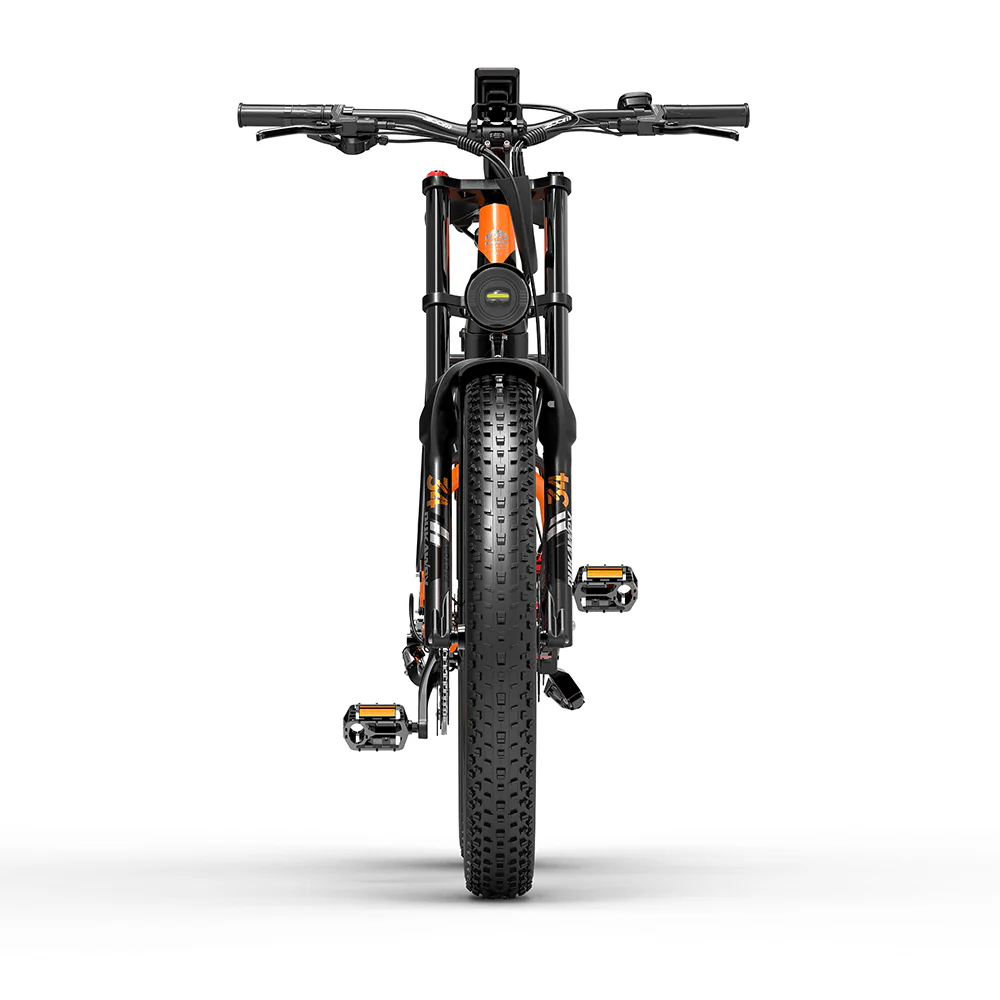 🔥LIMITED TO 37 PIECES ONLY,1000W 20AH Best Value Electric Bike - Built for Safe Riding