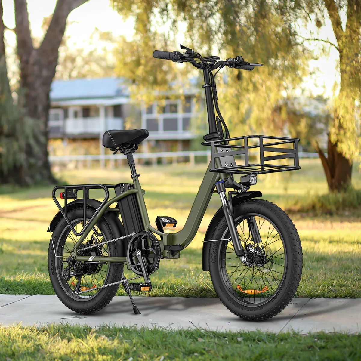 🔥LIMITED TO 16 PIECES ONLY, FIIDO T1 Cargo Electric Bike with 750W Motor 48V 20AH Battery 20*4.0 Inch Fat Tire Ebike Scooter