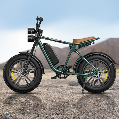 ENGWE M20 1000W Electric Bike