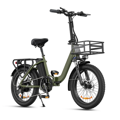 🔥LIMITED TO 16 PIECES ONLY, FIIDO T1 Cargo Electric Bike with 750W Motor 48V 20AH Battery 20*4.0 Inch Fat Tire Ebike Scooter