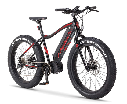 Fifield Rogue Wave 750W Fat Tire Electric Bike