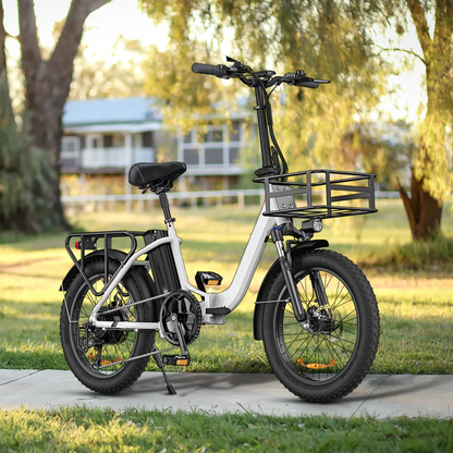 🔥LIMITED TO 16 PIECES ONLY, FIIDO T1 Cargo Electric Bike with 750W Motor 48V 20AH Battery 20*4.0 Inch Fat Tire Ebike Scooter