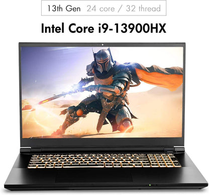 2024 Gaming Laptop, 17.3 Inch QHD 240Hz 100% DCI-P3 G-Sync, Intel i9-13900HX, RTX 4070 8GB, 64GB RAM, 2TB Gen4 NVMe SSD, Win 11