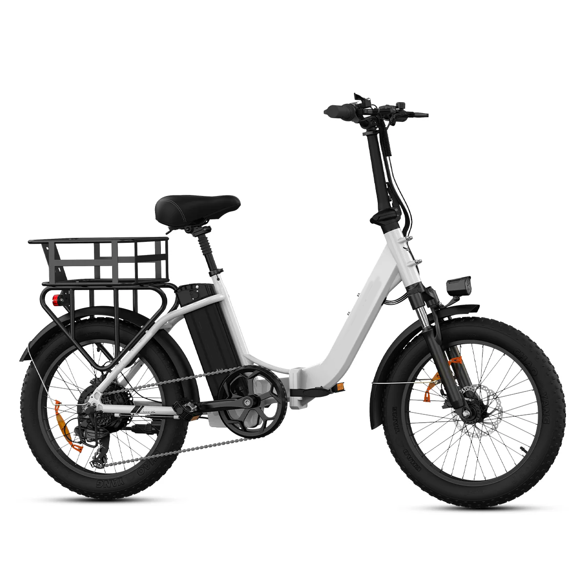 🔥LIMITED TO 16 PIECES ONLY, FIIDO T1 Cargo Electric Bike with 750W Motor 48V 20AH Battery 20*4.0 Inch Fat Tire Ebike Scooter