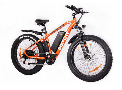 Fat Tire E-Mountainbike Pedelec All Terrain Electric Bike 80 Nm Removable Battery