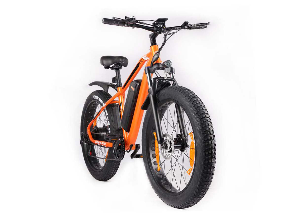 Fat Tire E-Mountainbike Pedelec All Terrain Electric Bike 80 Nm Removable Battery