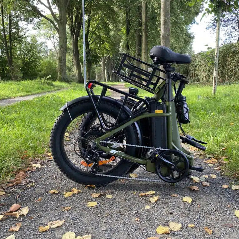 🔥LIMITED TO 16 PIECES ONLY, FIIDO T1 Cargo Electric Bike with 750W Motor 48V 20AH Battery 20*4.0 Inch Fat Tire Ebike Scooter