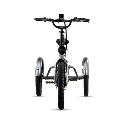 🔥LIMITED TO 16 PIECES ONLY, Electric XP Trike