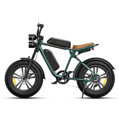 ENGWE M20 1000W Electric Bike